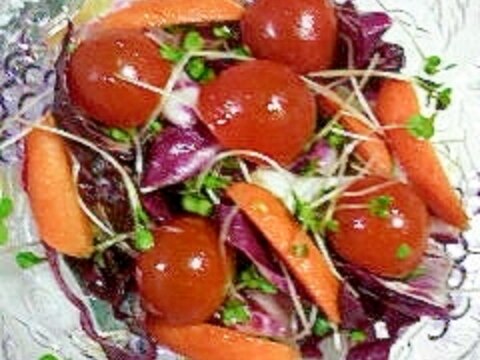 トレビスのカラフルサラダ レシピ 作り方 By 2727椿 楽天レシピ